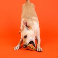 Outward Hound Xtreme Seamz Lion Squeaky Plush Dog Toy -Pet Toys Shop 226738 PT5. AC SS1800 V1636515157