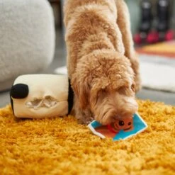 Frisco Retro Camera 2-in-1 Rip For Surprise Plush Squeaky Dog Toy -Pet Toys Shop 230306 PT3. AC SS1800 V1602639779