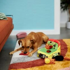 Frisco Retro Smack-a-Squirrel Hide & Seek Puzzle Plush Squeaky Dog Toy -Pet Toys Shop 230313 PT3. AC SS1800 V1601947334