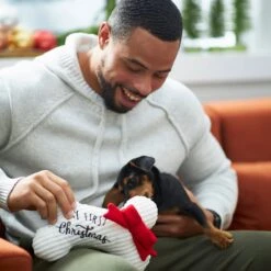 Frisco Holiday My First Christmas Bone Plush Squeaky Dog Toy -Pet Toys Shop 233166 PT2. AC SS1800 V1601304755