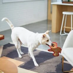 Frisco Holiday Gingerbread Man Flat Plush Squeaky Dog Toy -Pet Toys Shop 233241 PT2. AC SS1800 V1601311903