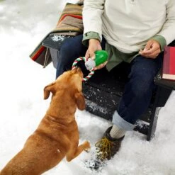 Frisco Holiday Christmas Light Rope With TPR Squeaky Dog Toy -Pet Toys Shop 233278 PT2. AC SS1800 V1601641574