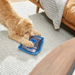 Frisco Zoomies & Chill TV Flat Plush Squeaky Dog Toy -Pet Toys Shop 241685 PT6. AC SS1800 V1610768399