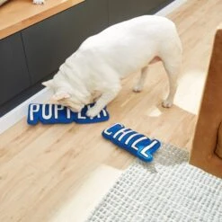 Frisco Zoomies & Chill Pupflix & Chill Plush Squeaky Dog Toy, 2 Count 5 Frisco Zoomies & Chill Pupflix & Chill Plush Squeaky Dog Toy, 2 Count -Pet Toys Shop 241693 PT6. AC SS1800 V1610768429