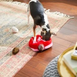 Frisco Valentine Box Of Chocolates Hide & Seek Puzzle Plush Squeaky Dog Toy -Pet Toys Shop 241739 PT6. AC SS1800 V1607992038