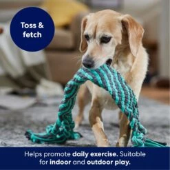 Frisco Flat Teal & Gray Braided Rope Squeaky Fetch Dog Toy -Pet Toys Shop 242127 PT3. AC SS1800 V1695242179