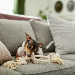 Frisco Double Knot Cotton Rope Fetch Dog Toy -Pet Toys Shop 242155 PT2. AC SS1800 V1605208728