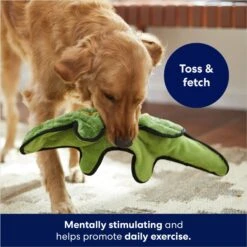 Frisco Alligator Stuffing-Free Flat Plush Squeaky Dog Toy -Pet Toys Shop 245943 PT2. AC SS1800 V1678723898