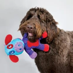 KONG Switcheroos Assorted Dog Toy, Large -Pet Toys Shop 250961 PT2. AC SS1800 V1600463517