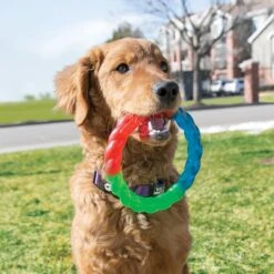 KONG Twistz Ring Dog Toy -Pet Toys Shop 250968 PT2. AC SS1800 V1631769824