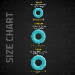 Playology Scented Dual Layer Ring Dog Toy -Pet Toys Shop 254296 PT4. AC SS1800 V1628574100