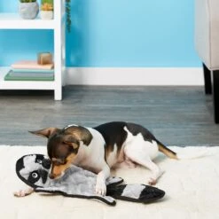 Frisco Alligator Stuffing-Free Flat Plush Squeaky Dog Toy & Frisco Raccoon Stuffing-Free Flat Plush Squeaky Dog Toy -Pet Toys Shop 255471 PT4. AC SS1800 V1602691287