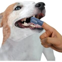 Nylabone Just For Puppies Teething Chew Toy Keys & Nylabone Advanced Oral Care Finger Dog Brush, 2 Count -Pet Toys Shop 255737 PT4. AC SS1800 V1604067343