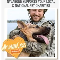 Nylabone Power Chew Tough Chew Toys For Dogs Bundle Beef & Cheese 16 Nylabone Power Chew Tough Chew Toys For Dogs Bundle Beef & Cheese -Pet Toys Shop 256133 PT7. AC SS1800 V1688390858