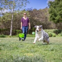 Hyper Pet GoDogGo Fetch Machine G5 Rechargeable Ball Launcher Interactive Dog Toy -Pet Toys Shop 258942 PT2. AC SS1800 V1622589167