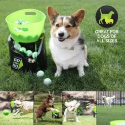 Hyper Pet GoDogGo Fetch Machine G5 Rechargeable Ball Launcher Interactive Dog Toy -Pet Toys Shop 258942 PT6. AC SS1800 V1622590041