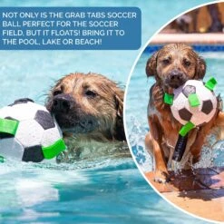 Hyper Pet Grab Tabs Soccer Ball Dog Toy -Pet Toys Shop 258945 PT6. AC SS1800 V1605913611