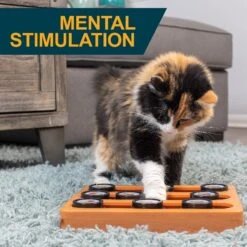 OurPets Sushi Treat Dispensing Puzzle Dog & Cat Toy -Pet Toys Shop 258947 PT2. AC SS1800 V1605883630