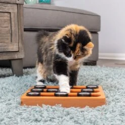 OurPets Sushi Treat Dispensing Puzzle Dog & Cat Toy -Pet Toys Shop 258947 PT4. AC SS1800 V1605919339