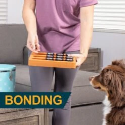 OurPets Sushi Treat Dispensing Puzzle Dog & Cat Toy -Pet Toys Shop 258947 PT7. AC SS1800 V1605917811