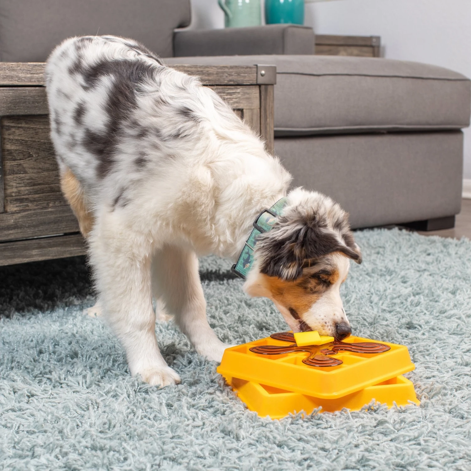 OurPets Waffle Squeaky Treat Dispensing Puzzle Dog & Cat Toy 2 OurPets Waffle Squeaky Treat Dispensing Puzzle Dog & Cat Toy - Image 2