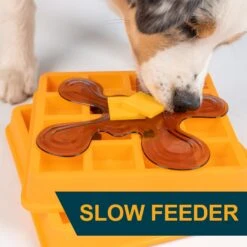 OurPets Waffle Squeaky Treat Dispensing Puzzle Dog & Cat Toy 13 OurPets Waffle Squeaky Treat Dispensing Puzzle Dog & Cat Toy -Pet Toys Shop 258949 PT4. AC SS1800 V1605915728