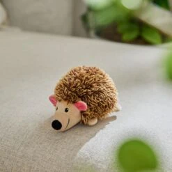 Goody Box Puppy Toys, Treats & Potty Training -Pet Toys Shop 258997 PT3. AC SS1800 V1690832449