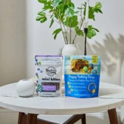 Goody Box Puppy Toys, Treats & Potty Training -Pet Toys Shop 258997 PT6. AC SS1800 V1690832445