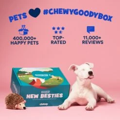 Goody Box Puppy Toys, Treats & Potty Training -Pet Toys Shop 258997 PT7. AC SS1800 V1690832449