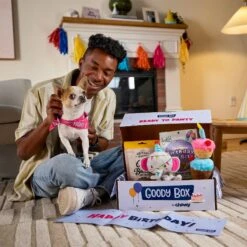 Goody Box Birthday Dog Toys & Treats, X-Small/Small -Pet Toys Shop 258999 PT2. AC SS1800 V1676045587