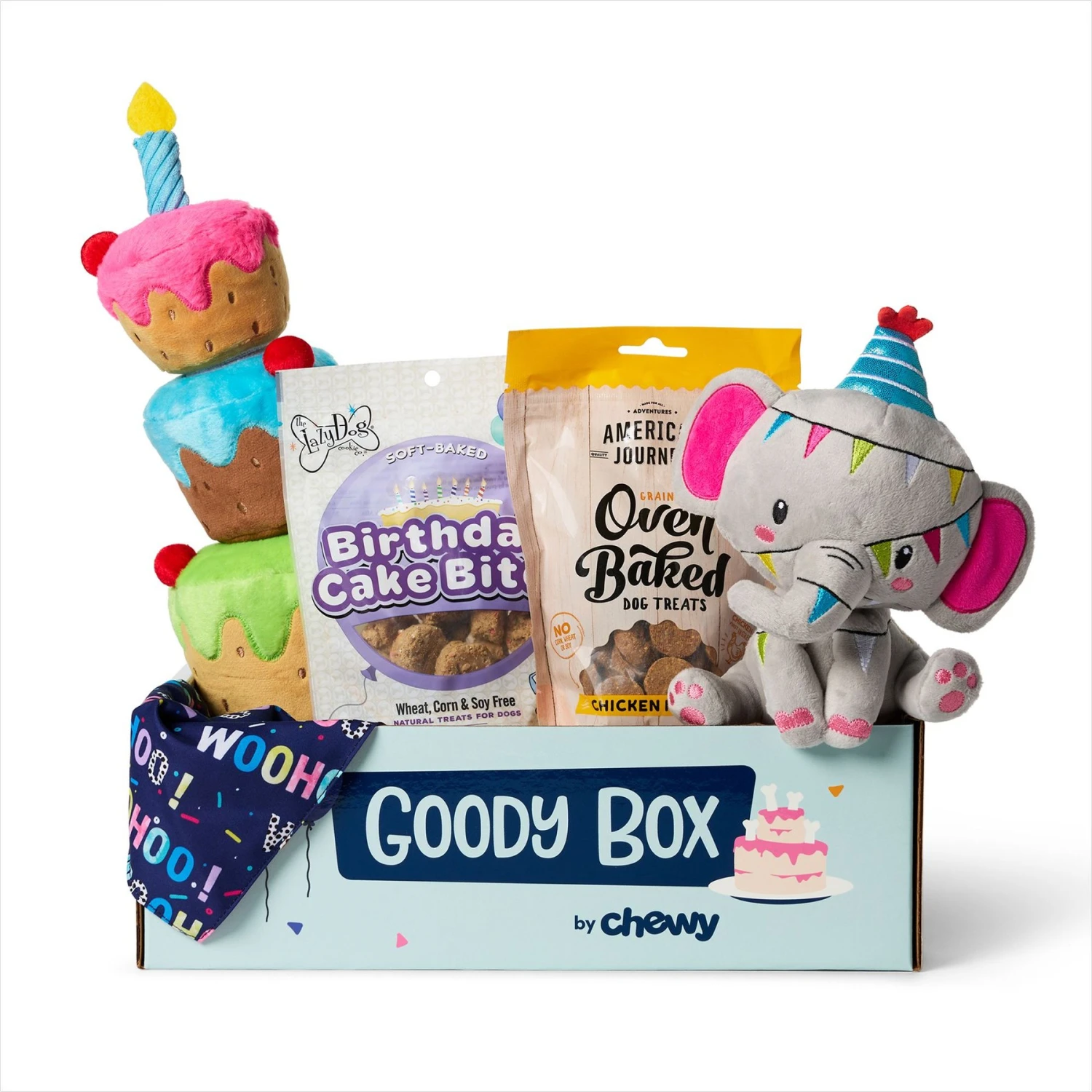 Goody Box Birthday Dog Toys & Treats 1 Goody Box Birthday Dog Toys & Treats