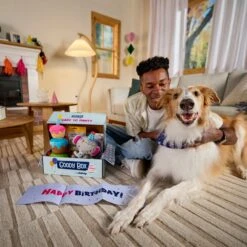 Goody Box Birthday Dog Toys & Treats 11 Goody Box Birthday Dog Toys & Treats -Pet Toys Shop 259001 PT2. AC SS1800 V1689886669