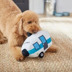 Frisco Road Trip Happy Camper Plush Squeaky Dog Toy -Pet Toys Shop 261991 PT3. AC SS1800 V1618598545