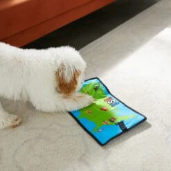 Frisco Road Trip Foldable Map Flat Plush Squeaky Dog Toy -Pet Toys Shop 261998 PT4. AC SS1800 V1619791937
