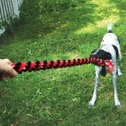 KONG Signature Mega Dual Knot Tug Rope Dog Toy 6 KONG Signature Mega Dual Knot Tug Rope Dog Toy -Pet Toys Shop 262996 PT2. AC SS1800 V1611091363