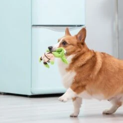 Fetch For Pets Star Wars Yoda Plush Flattie Dog Toy -Pet Toys Shop 263783 PT3. AC SS1800 V1608043954