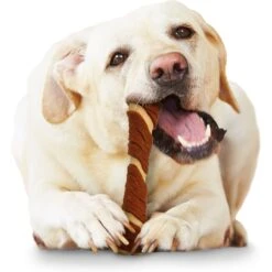 Nylabone Power Chew Alternative Pork Hide Bone Dog Chew Toy -Pet Toys Shop 263942 PT2. AC SS1800 V1629849451