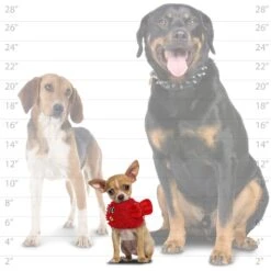 Mighty MicroFiber Balls Blowfish Plush Dog Toy 9 Mighty MicroFiber Balls Blowfish Plush Dog Toy -Pet Toys Shop 264165 PT4. AC SS1800 V1628107291