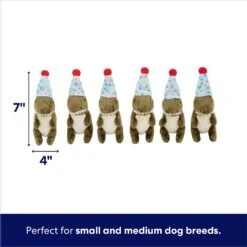 Frisco Birthday Volcano & Dinosaurs Hide & Seek Puzzle Plush Squeaky Dog Toy -Pet Toys Shop 264424 PT2. AC SS1800 V1695761147