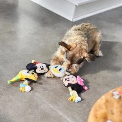 Disney Mickey Mouse & Friends Birthday Plush With Rope Squeaky Dog Toy -Pet Toys Shop 265560 PT3. AC SS1800 V1625069558