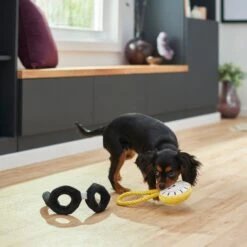 Frisco Magic Pocket Watch & Glasses Plush Squeaky Dog Toy, 2 Count -Pet Toys Shop 265590 PT3. AC SS1800 V1620938935