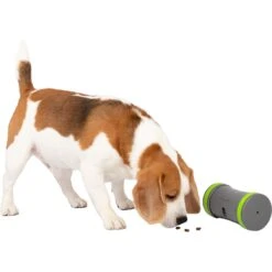 PetSafe Kibble Chase Roaming Treat Dropper Dog Toy -Pet Toys Shop 266209 PT6. AC SS1800 V1648601197