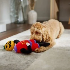 Frisco Halloween Headless Rider Plush Squeaky Dog Toy -Pet Toys Shop 270375 PT3. AC SS1800 V1624817181