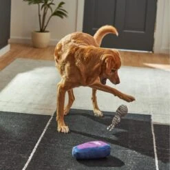 Frisco Halloween Mummy & Coffin Plush Squeaky Dog Toy 7 Frisco Halloween Mummy & Coffin Plush Squeaky Dog Toy -Pet Toys Shop 270437 PT3. AC SS1800 V1624817278