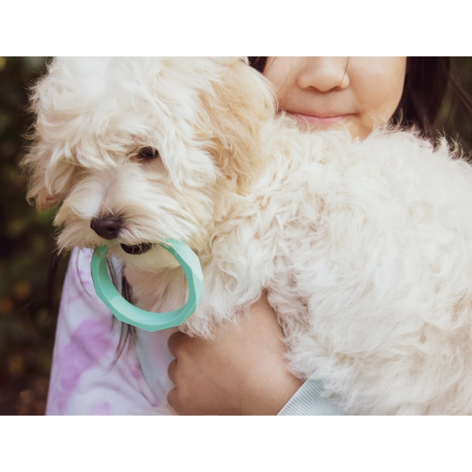 Sweet Paws Wearable Puppy Teether Stack Dog Chew Toy 5 Sweet Paws Wearable Puppy Teether Stack Dog Chew Toy - Image 5