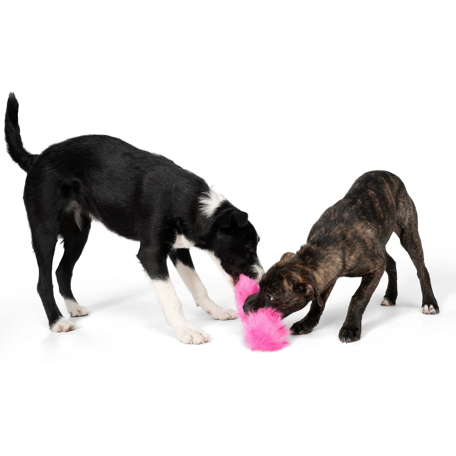 West Paw Judith Squeaky Stuffing-Free Plush Dog Toy 2 West Paw Judith Squeaky Stuffing-Free Plush Dog Toy - Image 2