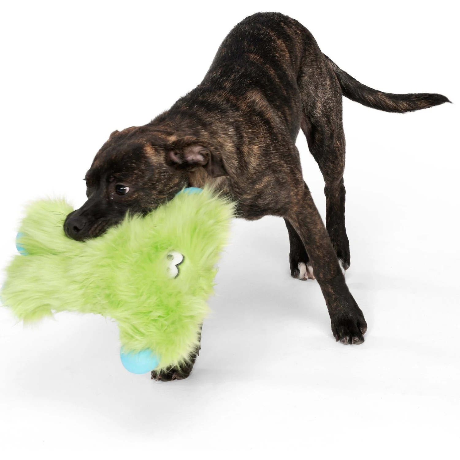 West Paw Peet Squeaky Plush Dog Toy 2 West Paw Peet Squeaky Plush Dog Toy - Image 2