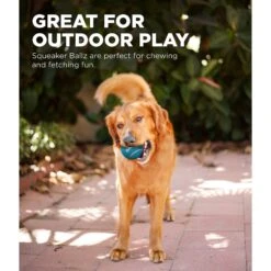 Outward Hound Squeaker Balls Small Dog Toys, 8 Count -Pet Toys Shop 278085 PT3. AC SS1800 V1636516946