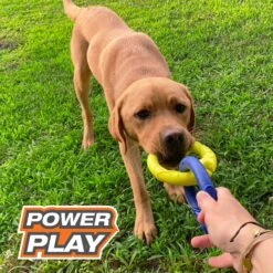 Nylabone Power Play Tug-a-Ball 2-in-1 Ball & Tug Dog Toy -Pet Toys Shop 278156 PT3. AC SS1800 V1614811315