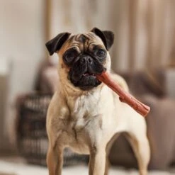 Ethical Pet Bambone & Branch Beef Dog Toy 9 Ethical Pet Bambone & Branch Beef Dog Toy -Pet Toys Shop 278514 PT5. AC SS1800 V1682711057